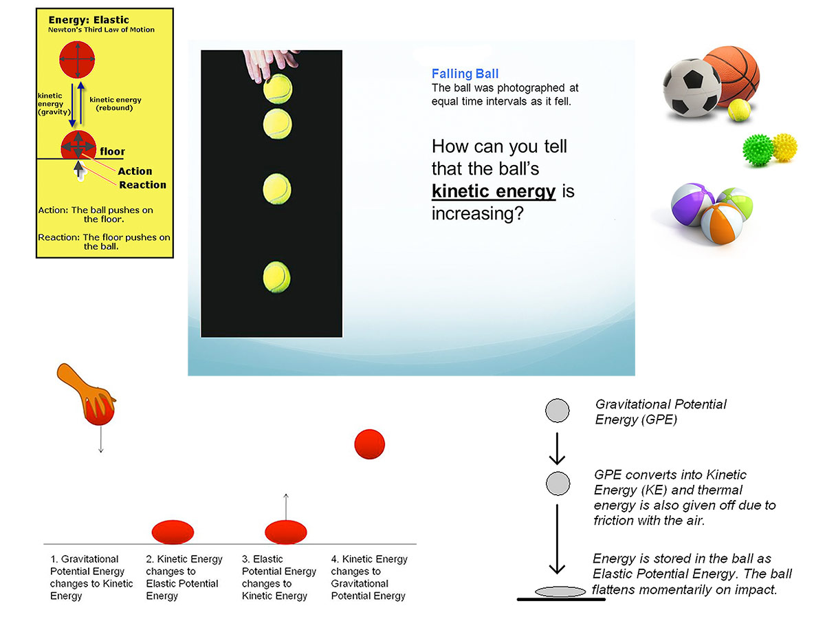 Squash and Stretch Principle Cristina Teaching Art